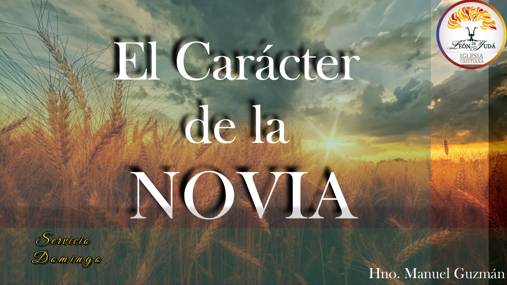 EL CARÁCTER DE LA NOVIA image