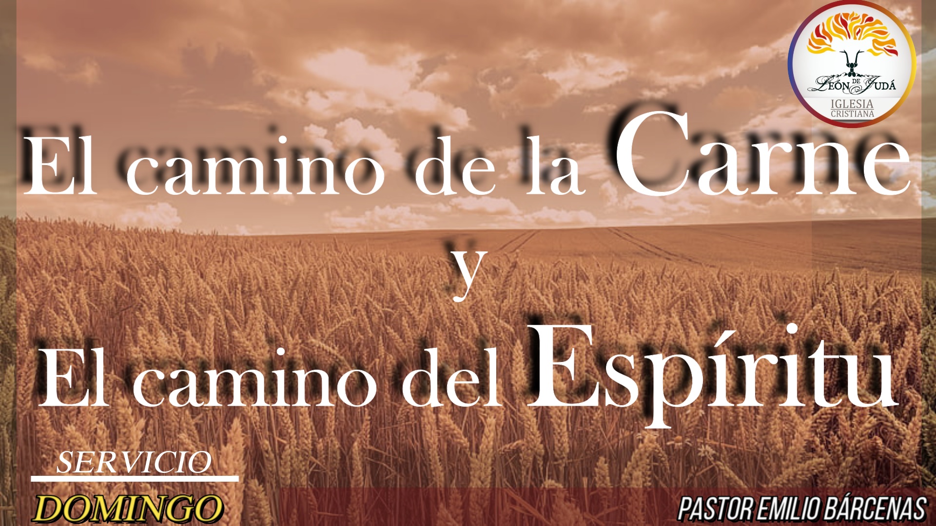 EL CAMINO DE LA CARNE Y EL CAMINO DEL ESPÍRITU image